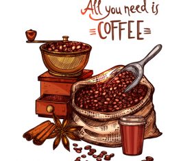 Hand drawn coffee beans with star anise vector material 01