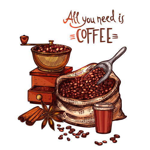 Hand drawn coffee beans with star anise vector material 01