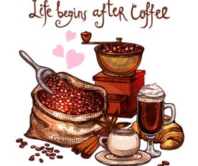 Hand drawn coffee beans with star anise vector material 03