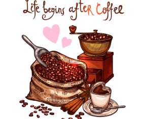 Hand drawn coffee beans with star anise vector material 04