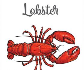 Hand drawn lobster vectors background