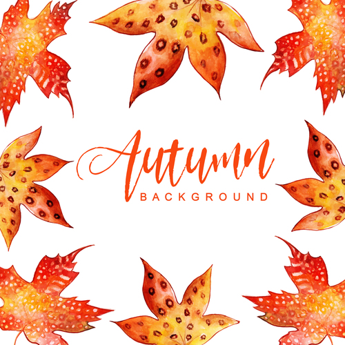 Hand drawn red leaves with autumn background vector