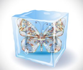 Ice cube with butterfly vector