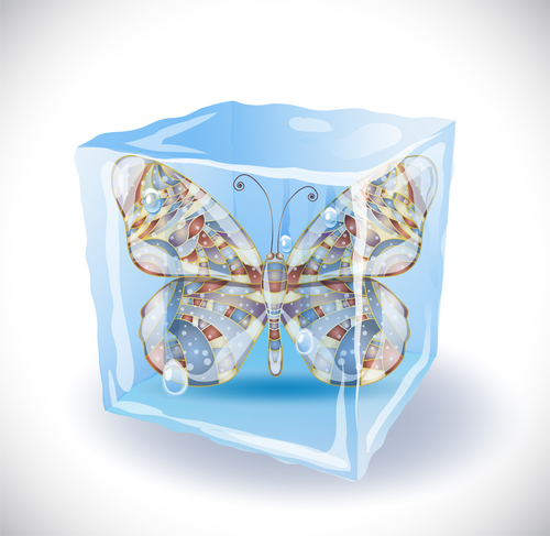 Ice cube with butterfly vector