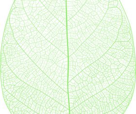 Leaf background design vector