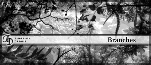 Leaves and Branches Photoshop Brushes