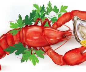 Lobster and Oyster vector