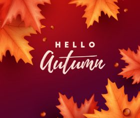 Maple leaves with red autumn background vector 01
