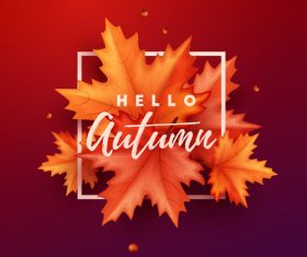 Maple leaves with red autumn background vector 02