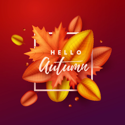 Maple leaves with red autumn background vector 03