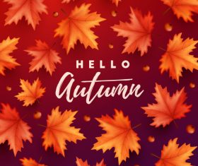 Maple leaves with red autumn background vector 04