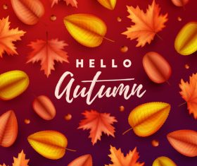 Maple leaves with red autumn background vector 05