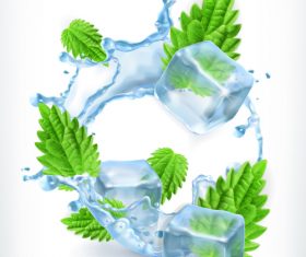 Mint with ice cubes and water splash vector