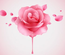 Pink rose design illustration vectors