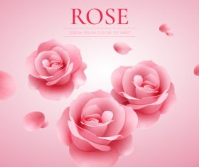 Pink rose with elegant background vector