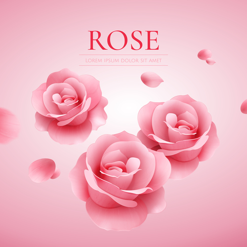 Pink rose with elegant background vector