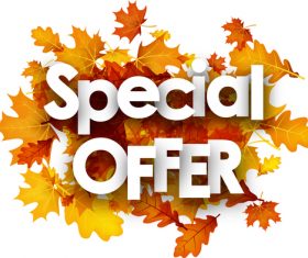 Red autumn leaves with sale background vector 04