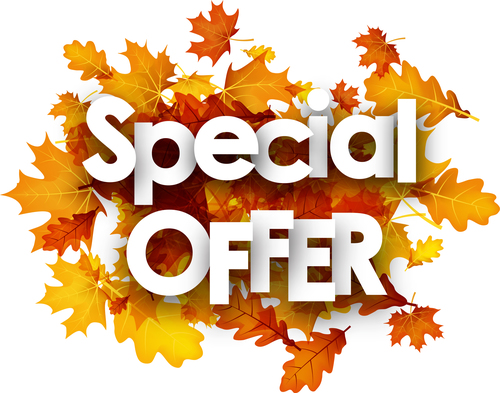 Red autumn leaves with sale background vector 04