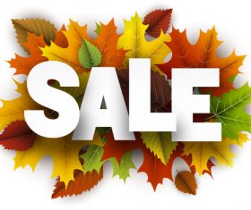 Red autumn leaves with sale background vector 05