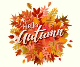 Red leaves with autumn white background vector
