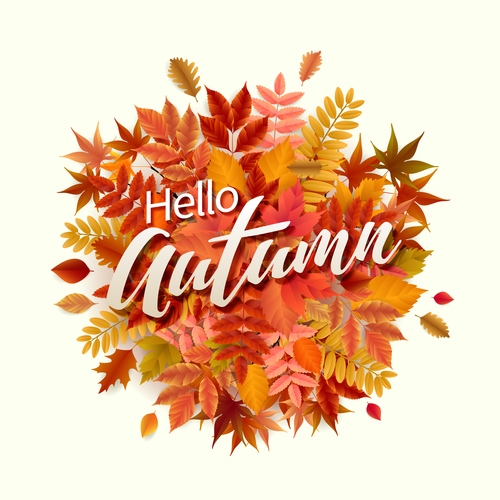 Red leaves with autumn white background vector