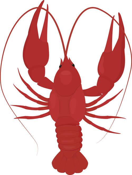 Red lobster silhouette vector