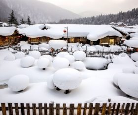 Rural snow scene Stock Photo 01