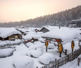 Rural snow scene Stock Photo 02