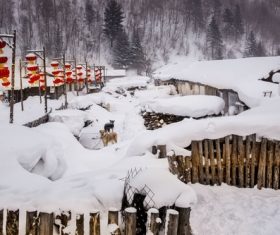 Rural snow scene Stock Photo 05