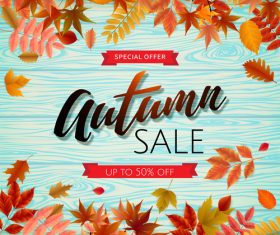 Sale wood background with autumn leaves vector 02