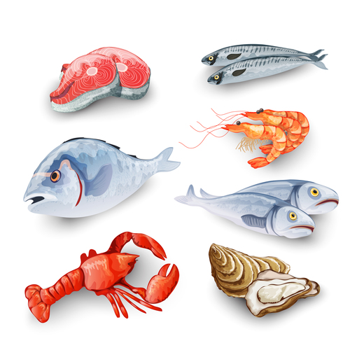 Seafood illustration vector design
