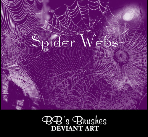 Spider Webs Photoshop Brushes