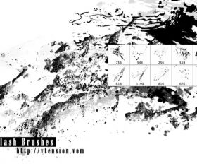 Splash ink Photoshop Brushes