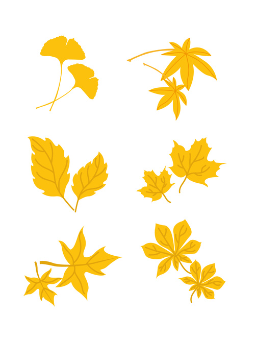 Stick pictures vector elements of autumn leaves set illustration design