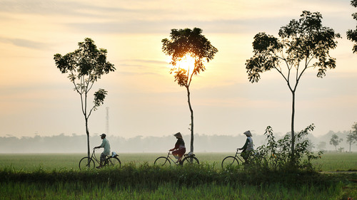 Stock Photo Asian morning country scenery
