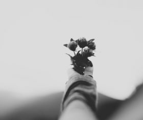 Stock Photo Black and white photo of hand holding flower