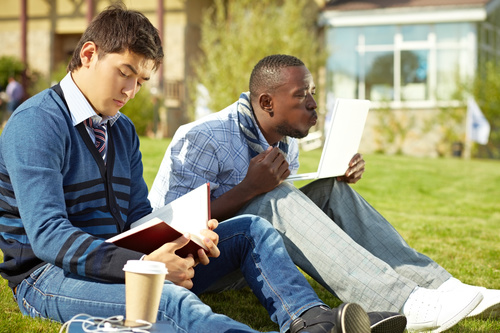 Stock Photo College students studying together 10