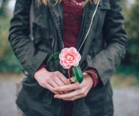 Stock Photo Flower in girl hand