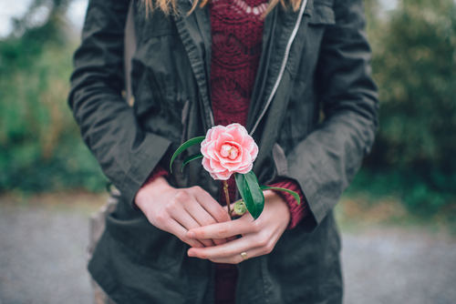 Stock Photo Flower in girl hand