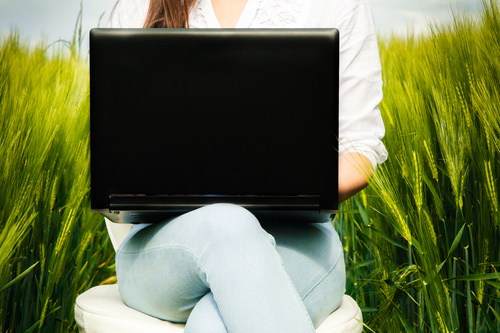 Stock Photo Woman using notebook in wheat field 01