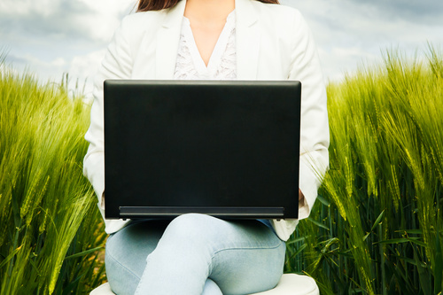 Stock Photo Woman using notebook in wheat field 02