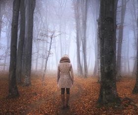 Stock Photo Woman walking on a woods trail