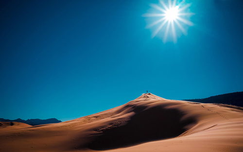 Sunny natural scenery in the desert Stock Photo 02