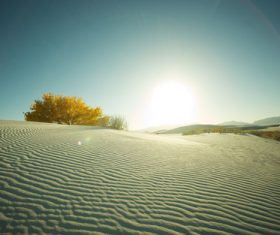Sunny natural scenery in the desert Stock Photo 03