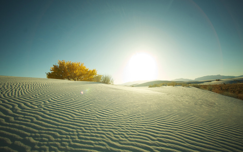 Sunny natural scenery in the desert Stock Photo 03