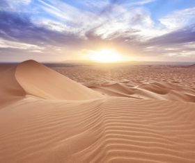 Sunny natural scenery in the desert Stock Photo 04