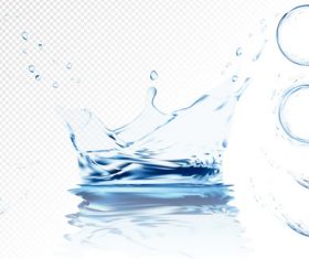 Water splash with water cricle illustration vector