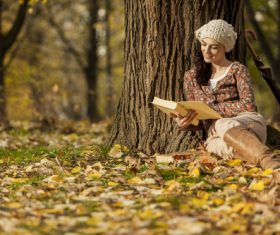 Woman reading a book under the tree in autumn Stock Photo 01