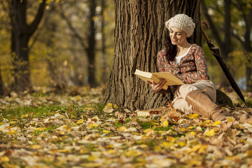 Woman reading a book under the tree in autumn Stock Photo 01