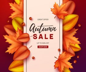 autumn design sale background vectors